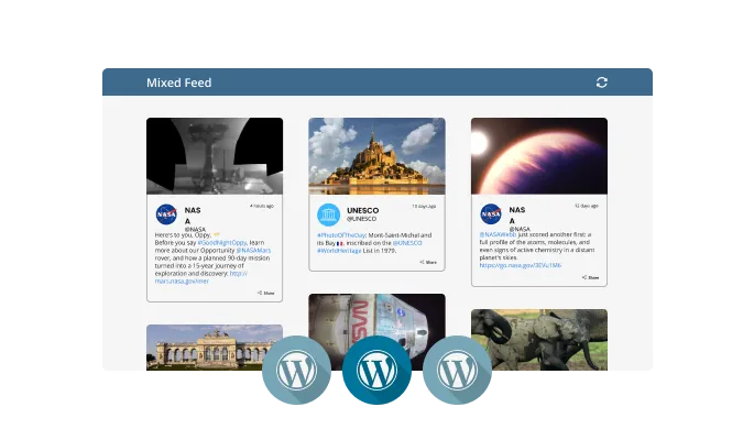 WordPress Feed - Different Feed Types
