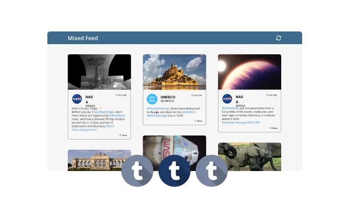 Tumblr Feed - Multiple Feed Types