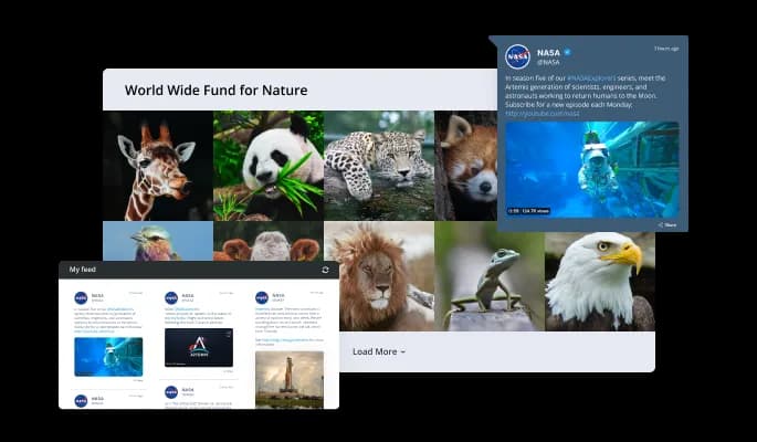 Mastodon Feed - Multiple Mastodon Feed Layouts