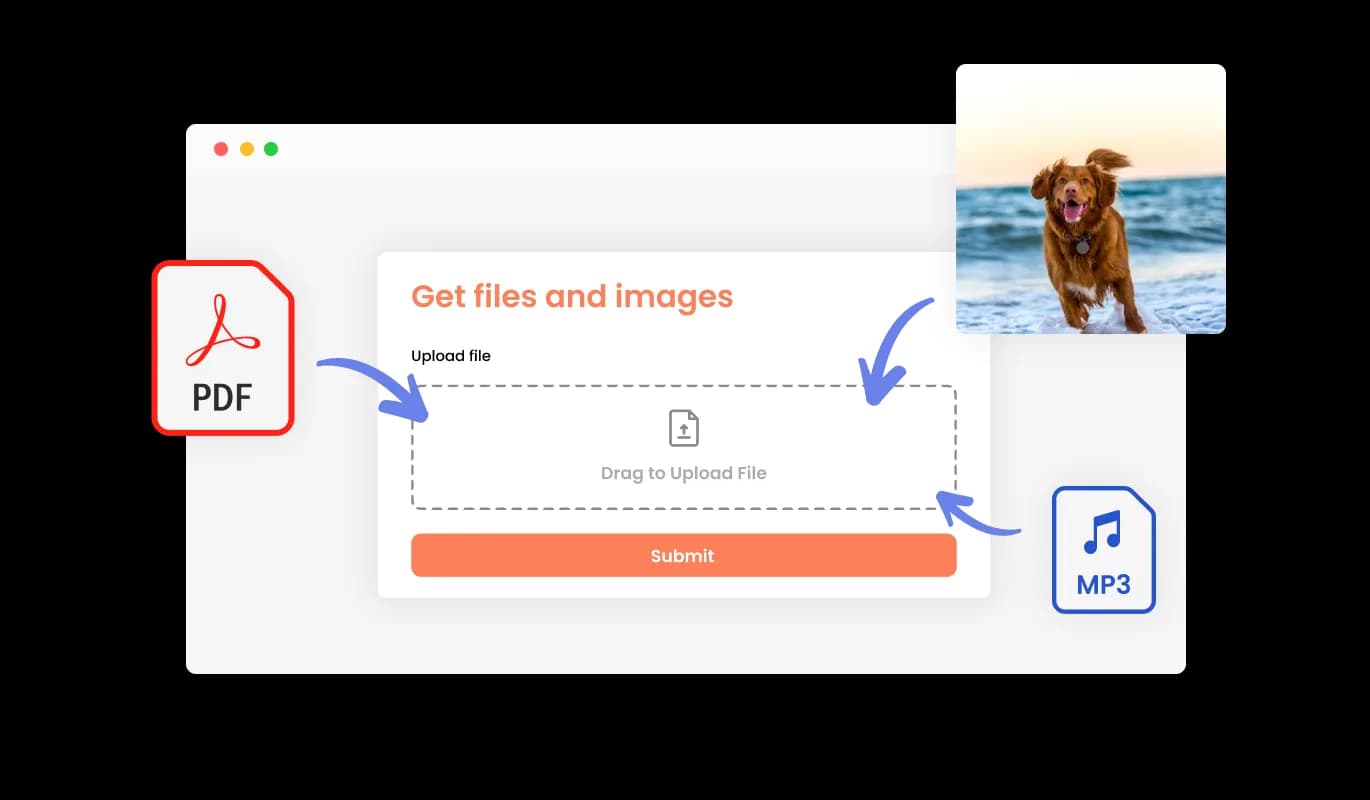 Form Builder - Use the Form To Receive Files and Images