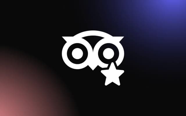 Top Tripadvisor Reviews Widgets (Plugins) for Websites in 2025